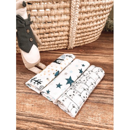 3 sztuki Pielucha pieluszka tetrowa 70*80 chłopiec (G)